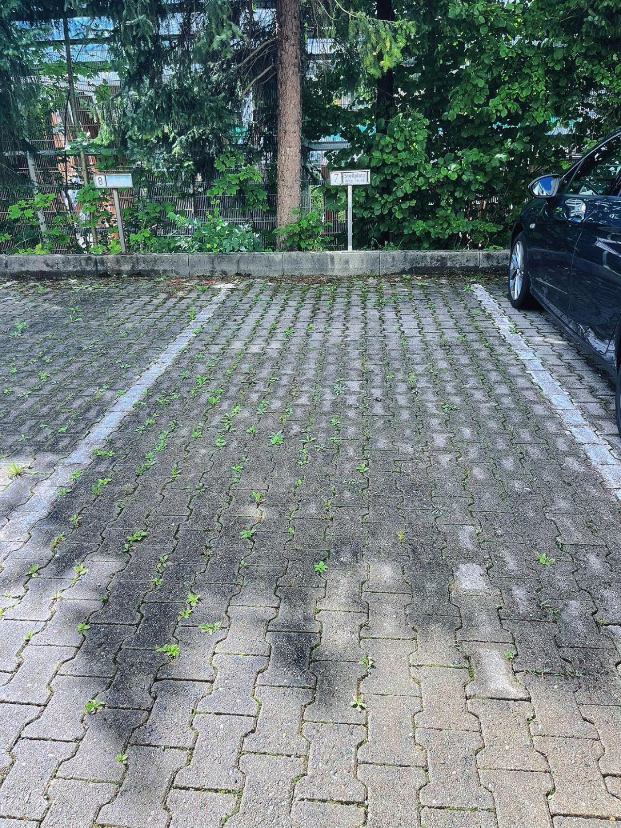 Grosszuegige Wohnung, Bergblick, Vintage Sonthofen Exteriör bild